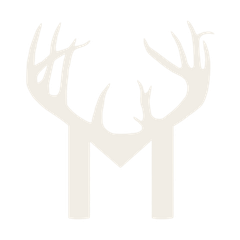 Monster Buck logo