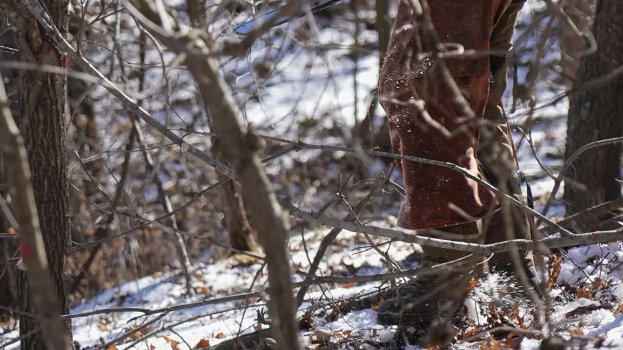 Photo · Running a saw in the snow