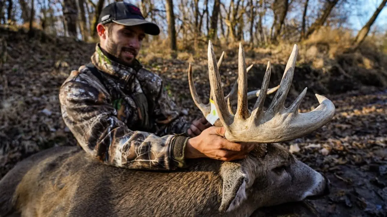 Photo · A heavy Iowa buck down